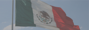 Mexican flag